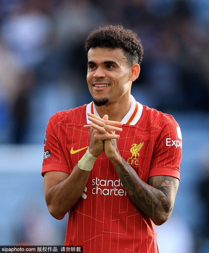 他善于寻找 他善于寻找