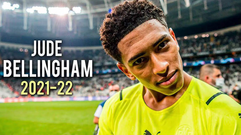 案例参照 案例参照